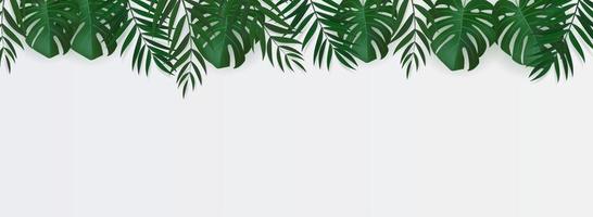 Natural Realistic Green Palm Leaf Tropical Background. Vector illustration EPS10
