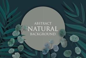 Abstract Natural Background with Tropical Palm, Eucalyptus,Monstera Leaves and frame. Vector Illustration