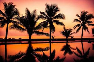 Silhouette coconut palm tree around outdoor swimming pool photo