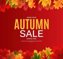 Shiny Autumn Leaves Sale Banner. Business Discount Card. Vector Illustration