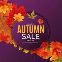 Shiny Autumn Leaves Sale Banner. Business Discount Card. Vector Illustration