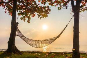 Hammock neary beach and sea on sunrise time photo