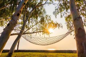 Hammock neary beach and sea on sunrise time photo