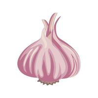 Cartoon vector illustration isolated object food gradient garlic