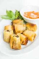 Fried spring roll photo