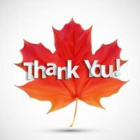 Paper art of thank you  lettering background. Vector Illustration