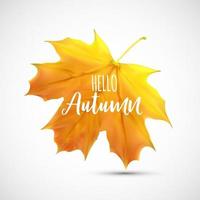 Shiny Hello Autumn Natural Leaves Background. Vector Illustration