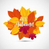 Shiny Hello Autumn Natural Leaves Background. Vector Illustration