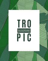 Beautifil Palm Tree Leaf Tropical Silhouette Background Vector Illustration