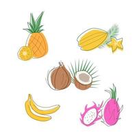 Set of exotic fruits in the contour style vector