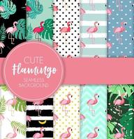 Cute Retro Seamless Flamingo Pattern Collection Set  Background Vector Illustration