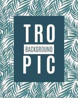 Beautifil Palm Tree Leaf Tropical Silhouette Background Vector Illustration