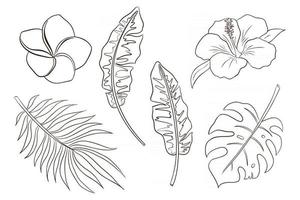 Line Art Tropical Flowers and Leaves Vector Isolated Items Collection