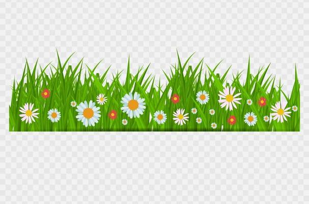 BrighGrass and flowers border, greeting card decoration element for Easter on a Transparent Background. Vector Illustrationt Juicy Green Grass on a Transparent Background. Vector Illustration.