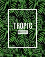 Beautifil Palm Tree Leaf Tropical Silhouette Background Vector Illustration