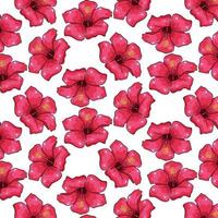 Tropical pattern with exotic flowers in cartoon style vector