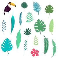 Abstract Tropical leaves hibiscus and toucan bird vector