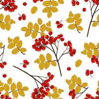 Seamless pattern of red rowan branches and yellow leaves. Hand drawn autumn vector background