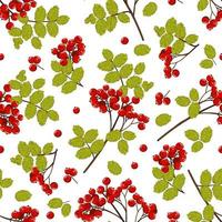 Branches seamless pattern with red rowan berries and green leaves. Vector natural background