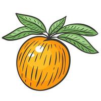 Single peach on a branch with leaves vector