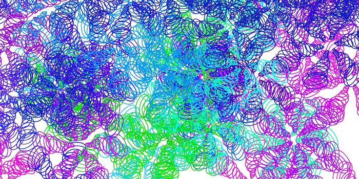 Telón de fondo de vector multicolor claro con arco circular.