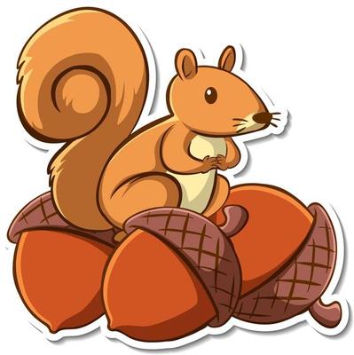 Sticker design with a squirrel on many acorns isolated