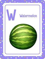 Alphabet flashcard with letter W for Watermelon vector