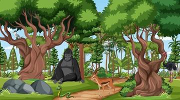 Forest scene with different wild animals vector