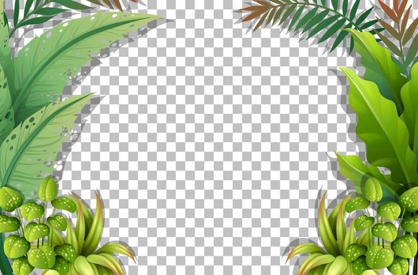 Tropical leaves frame template