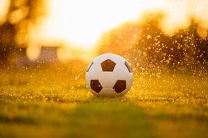 A ball on the green grass field for soccer football game under the sunset ray light and rain. Picture with space area. photo