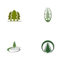 Set Cedar tree vector icon illustration design template