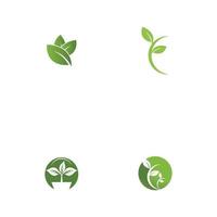 Set Leaf  ecology Logo Template vector symbol nature