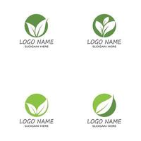 Mint leaves flat vector color icon template