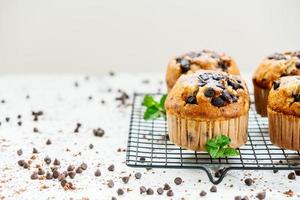 Chocolate chip muffin photo