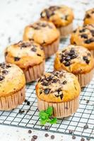 Chocolate chip muffin photo