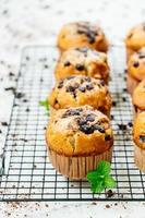 Chocolate chip muffin photo