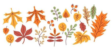 Vector set of autumn drawings. Colored various leaves and branches, berries, acorns and mushrooms, an umbrella and a cloud with rain. Use for fall design and decoration. Cozy bright autumn. isolated