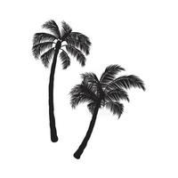 Coconut palm trees vector