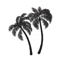 Coconut palm trees vector