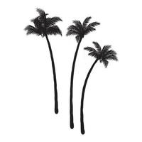 Coconut palm trees vector