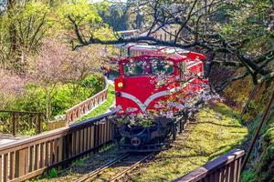 Railway in Alishan forest recreation area, Taiwan photo
