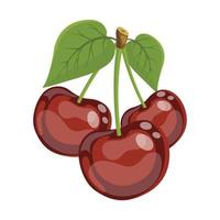 cherries set, vector illustration