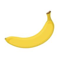 ilustración de plátano amarillo vector