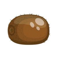 kiwi fruit, vector illustration