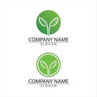 logotipos de hojas de árbol de la ecología de la hoja de árbol verde y la naturaleza fresca establecer icono y logotipo vector