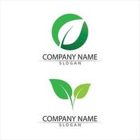 tree leaf icon and Logos of green Tree leaf ecology and nature set for logo design vector