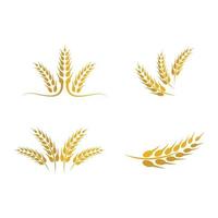 Wheat logo images vector