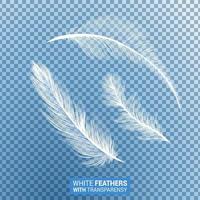 White fluffy feathers realistic transparent effect vector