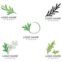 rosemary leaf vector logo illustration template