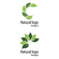 plantilla de logotipo de diseño de ilustración de vector de icono de hoja
